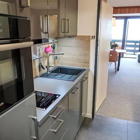 B 033 By Interhome Дизентис